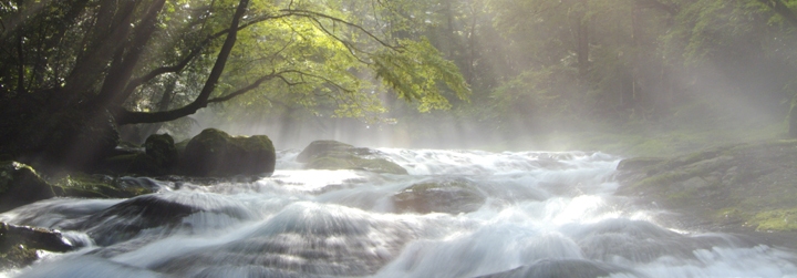 原点は水
